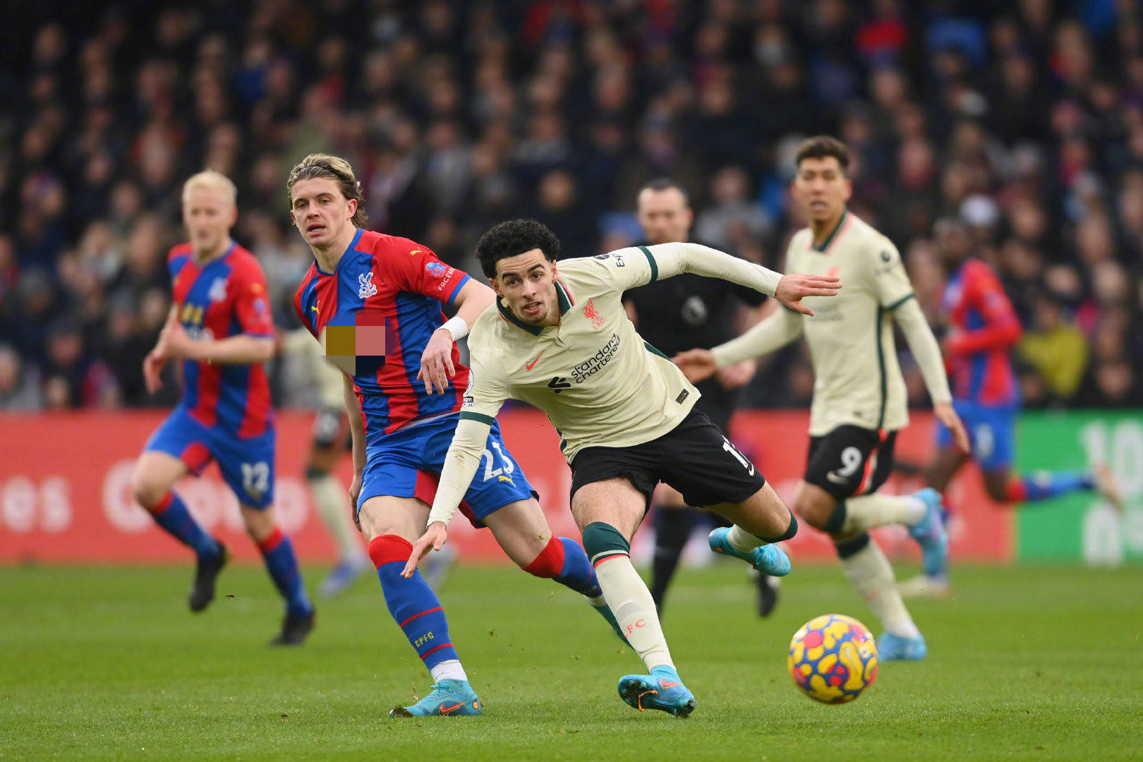 洲赛场上的 洲赛场上的